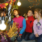 109_3622_jpg-1299893098