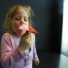 109_3650_jpg-1299893119