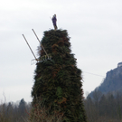 109_7428_JPG-1299943952