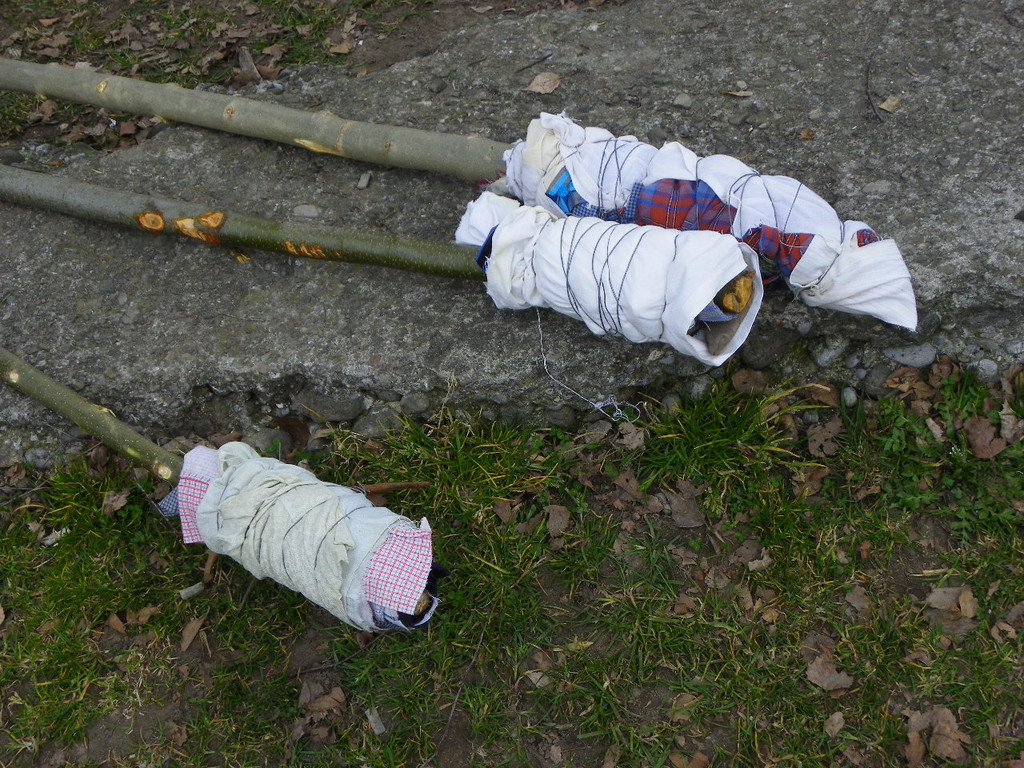 109_7437_JPG-1299943927