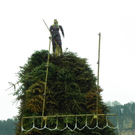 109_7430_JPG-1299943959