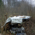 109_7436_JPG-1299943919