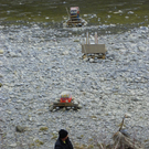 109_7432_JPG-1299943975