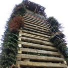 109_7435_JPG-1299944000