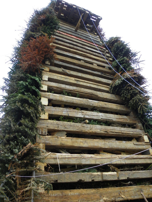 109_7435_JPG-1299944000