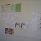Gemeindeamt Lochau 2011 _11__jpg-1299946683