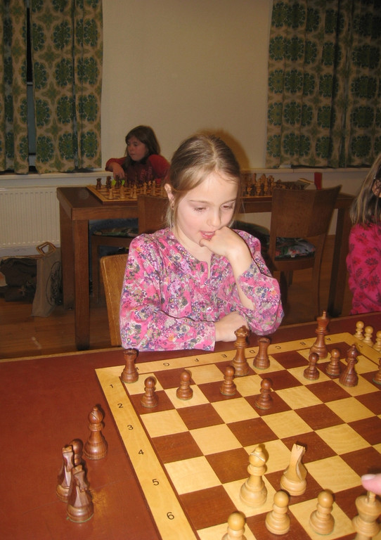 Schach Nachwuchs KURS 2011 _8__jpg-1299949456