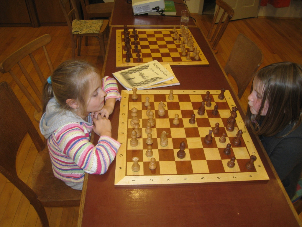 Schach Nachwuchs KURS 2011 _31__jpg-1299949741