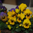 DSCF5165.JPG