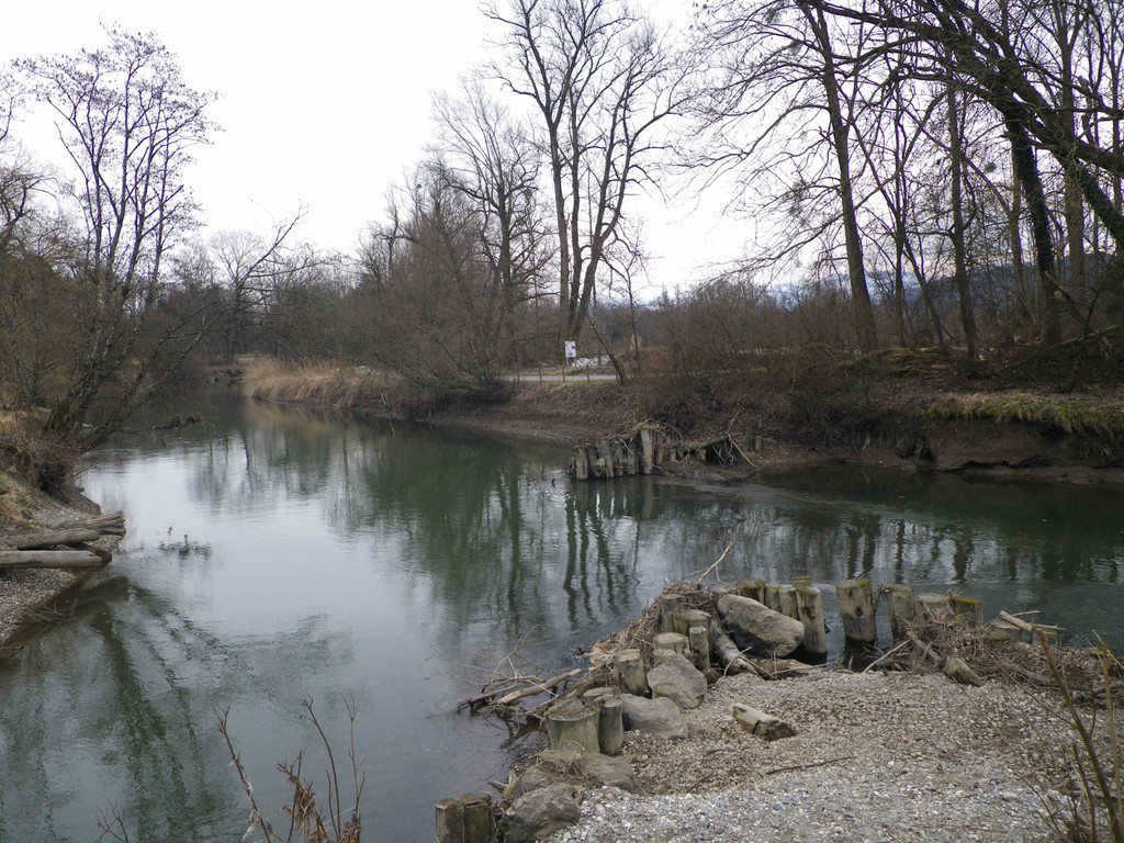 IMGP1016klein.jpg