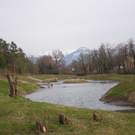 IMGP1051klein.jpg
