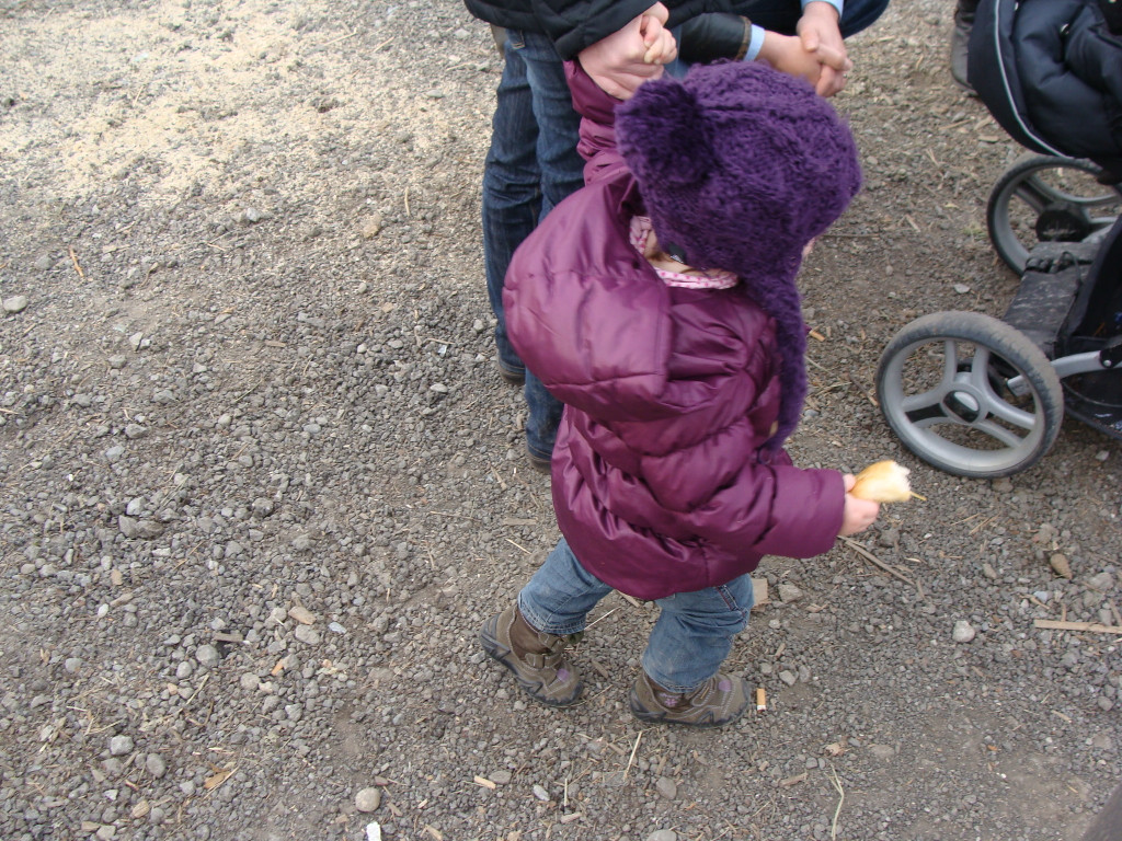 DSC05045.JPG