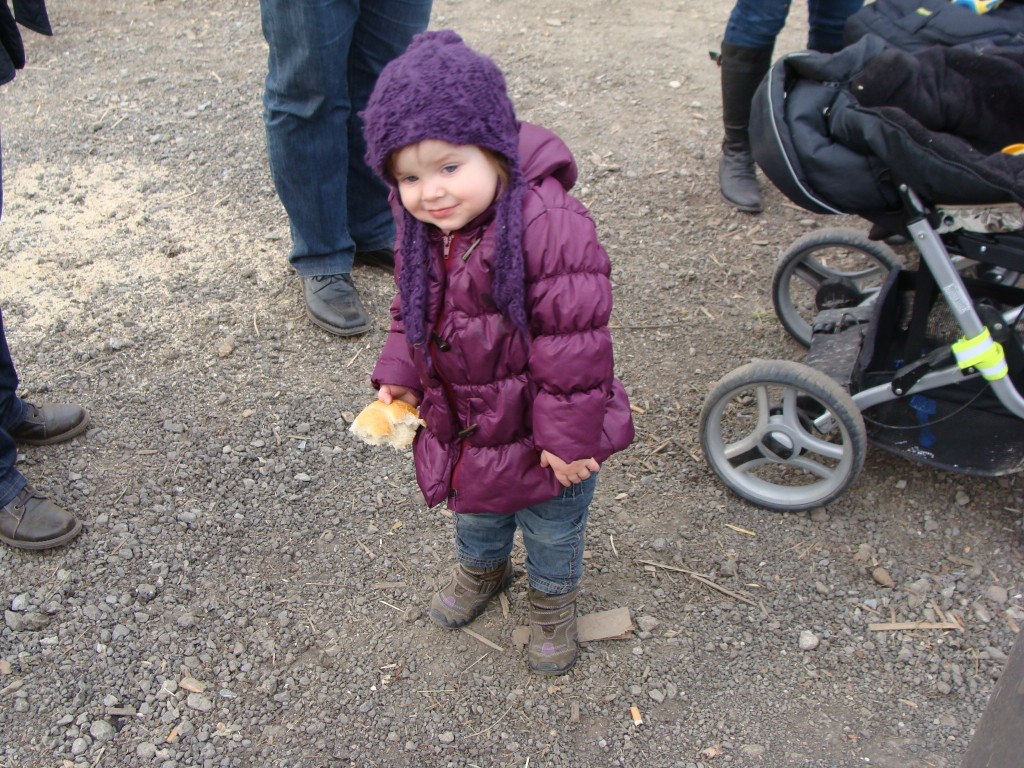 DSC05046.JPG