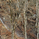 normal_12032011brandramsauffaktivnews_08.jpg