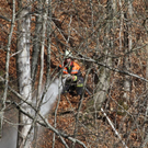 normal_12032011brandramsauffaktivnews_14.jpg
