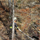 normal_12032011brandramsauffaktivnews_16.jpg