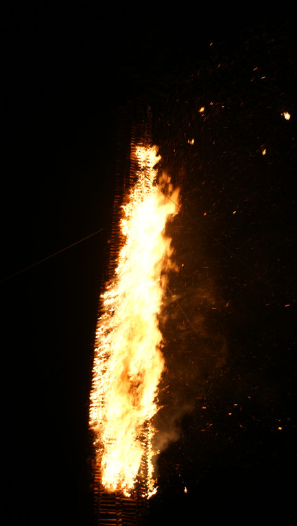 DSC08409_JPG-1299966835