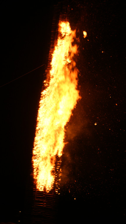 DSC08413_JPG-1299966916