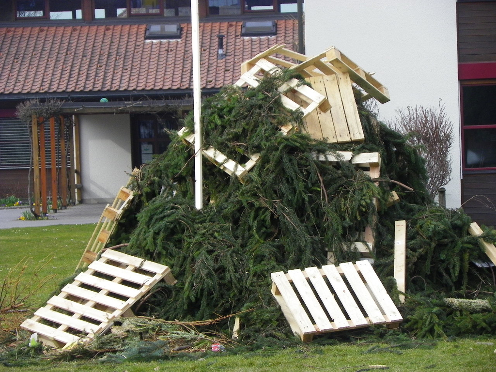 109_7345_JPG-1299970551