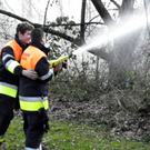 109_7655_JPG-1299971797