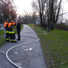 109_7638_JPG-1299971847