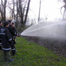 109_7644_JPG-1299971869