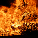 109_7769_JPG-1299975825