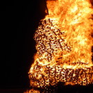 109_7767_JPG-1299975930