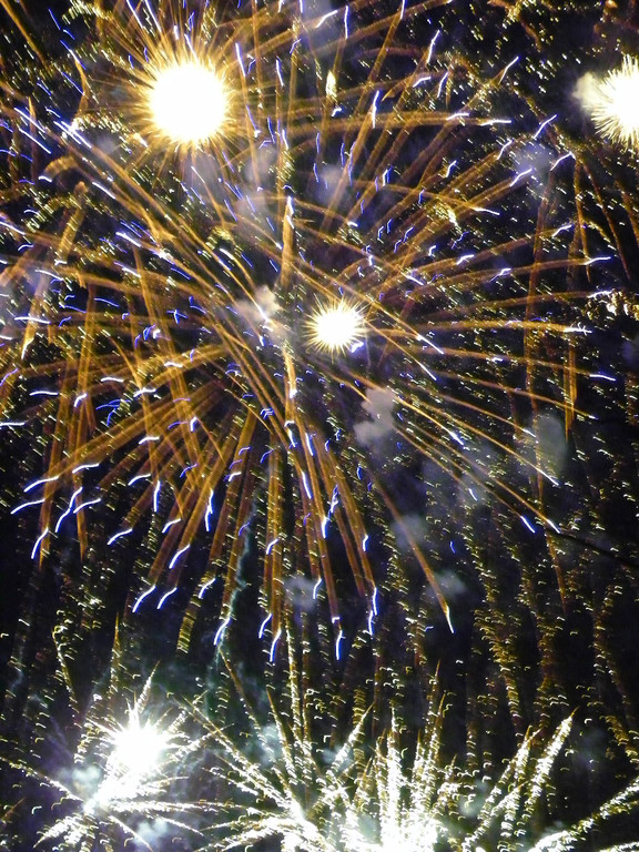 100_4236_jpg-1299979556
