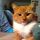 Alles m__gliche 003.jpg