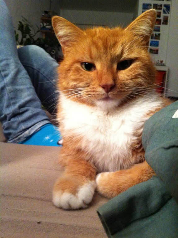 Alles m__gliche 003.jpg