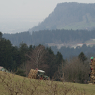 Bucher Funken 2011