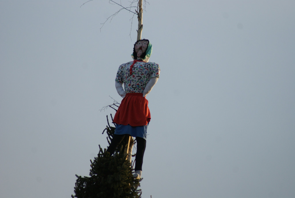 DSC00162_JPG-1300003004