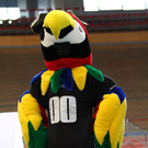 th-00179772.jpg