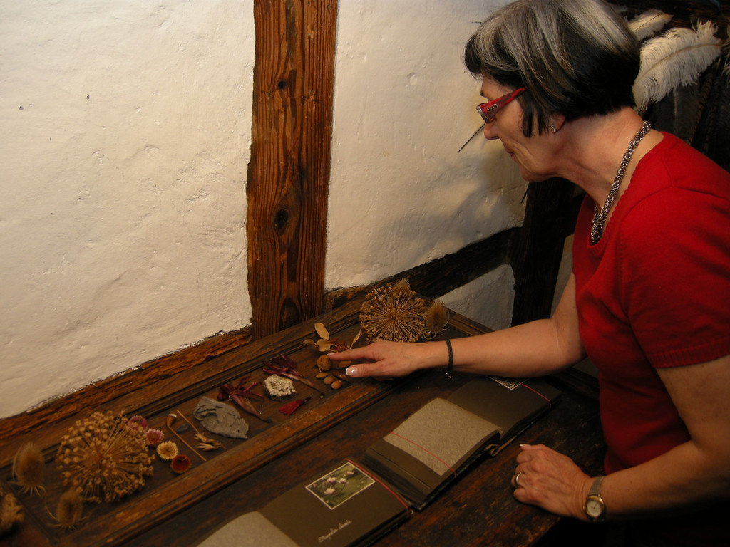 DSCN3739_JPG-1300004985