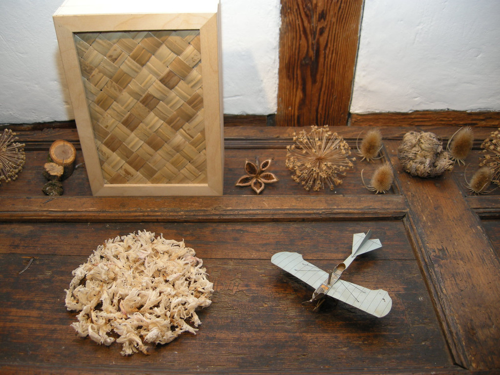 DSCN3740_JPG-1300004996