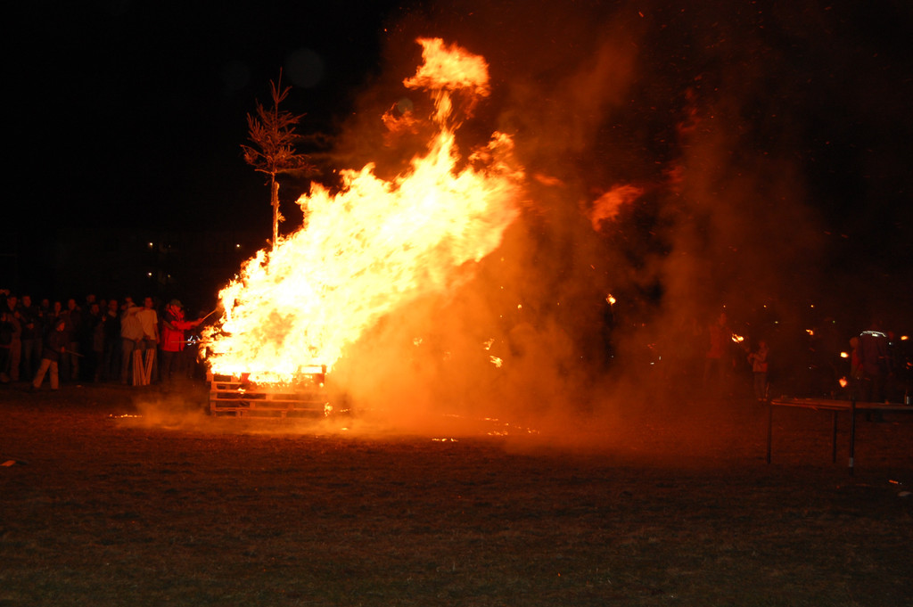 DSC_0271_JPG-1300004740