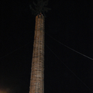 DSC_0200.JPG