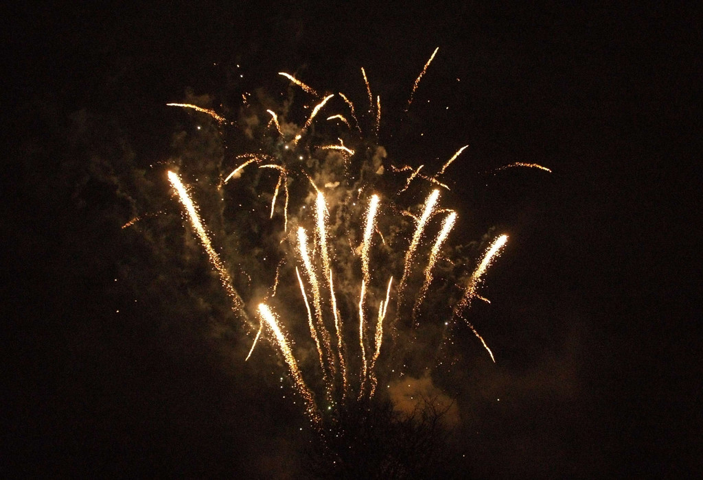 DSCF5460.JPG