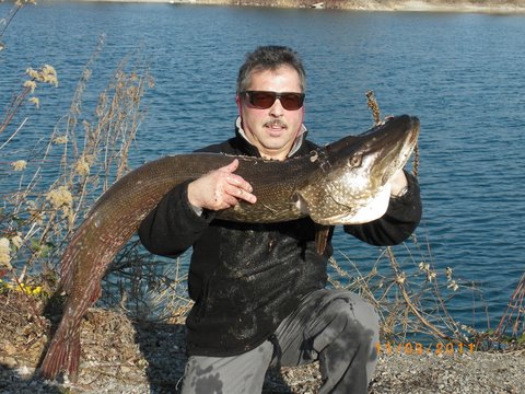 IMGP0521_JPG-1300008184