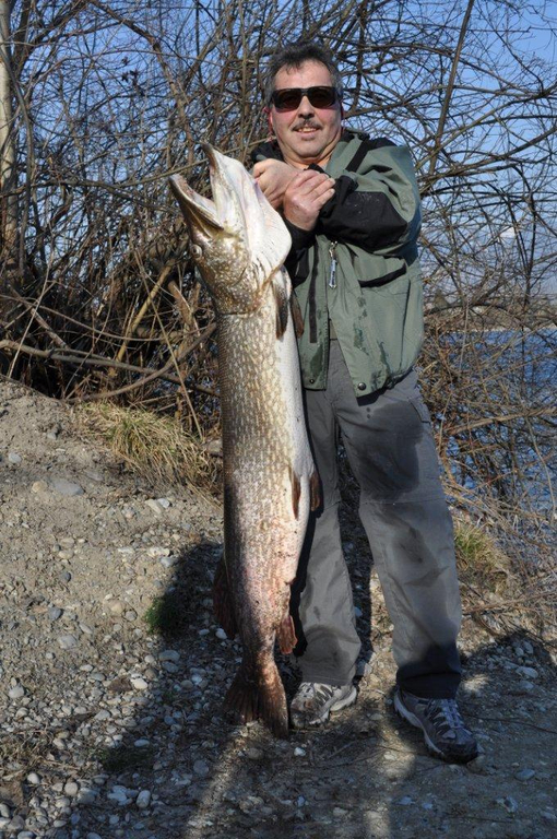 DSC_0241_jpg-1300008194