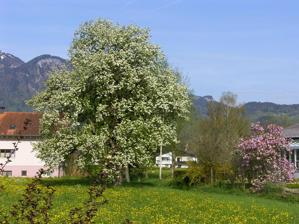 sm_gemeinde_mostprobe12_JPG-1300008927