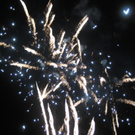 IMG_6517 _Large_.JPG