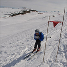 20110312_hahnenk__pflelauf_102_luc.JPG