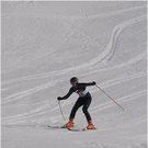 20110312_hahnenk__pflelauf_124_luc.JPG