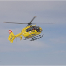 20110312_hahnenk__pflelauf_128_luc.JPG