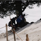 20110312_hahnenk__pflelauf_140_luc.JPG