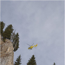20110312_hahnenk__pflelauf_155_luc.JPG