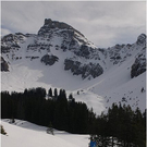 20110312_hahnenk__pflelauf_171_luc.JPG