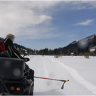 20110312_hahnenk__pflelauf_188_luc.JPG